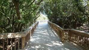 Stroll along the shaded boardwalk surrounded by lush foliage.