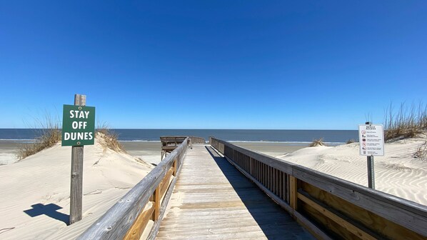 Walk along the beach to the ocean, where dunes meet the shore.