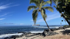 Ein Strand mit einer Palme, felsigem Ufer und einem Kreuzfahrtschiff in der Ferne.