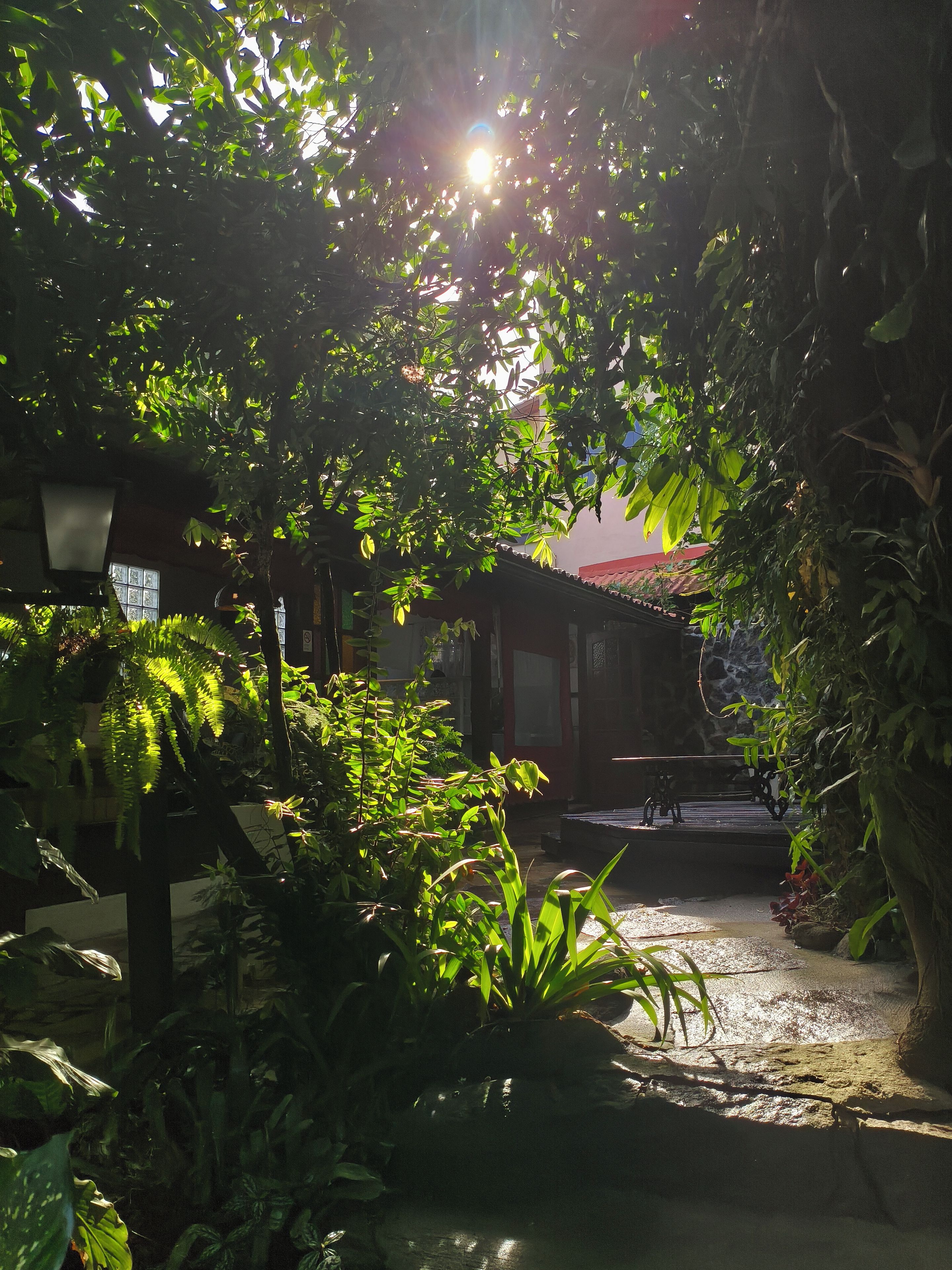 A garden pathway with a bench, surrounded by lush greenery and a building with a red roof in the background.