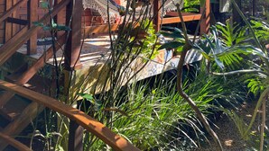 A wooden house with a porch, surrounded by lush tropical plants. - Aratinga inn (Angra dos Reis)