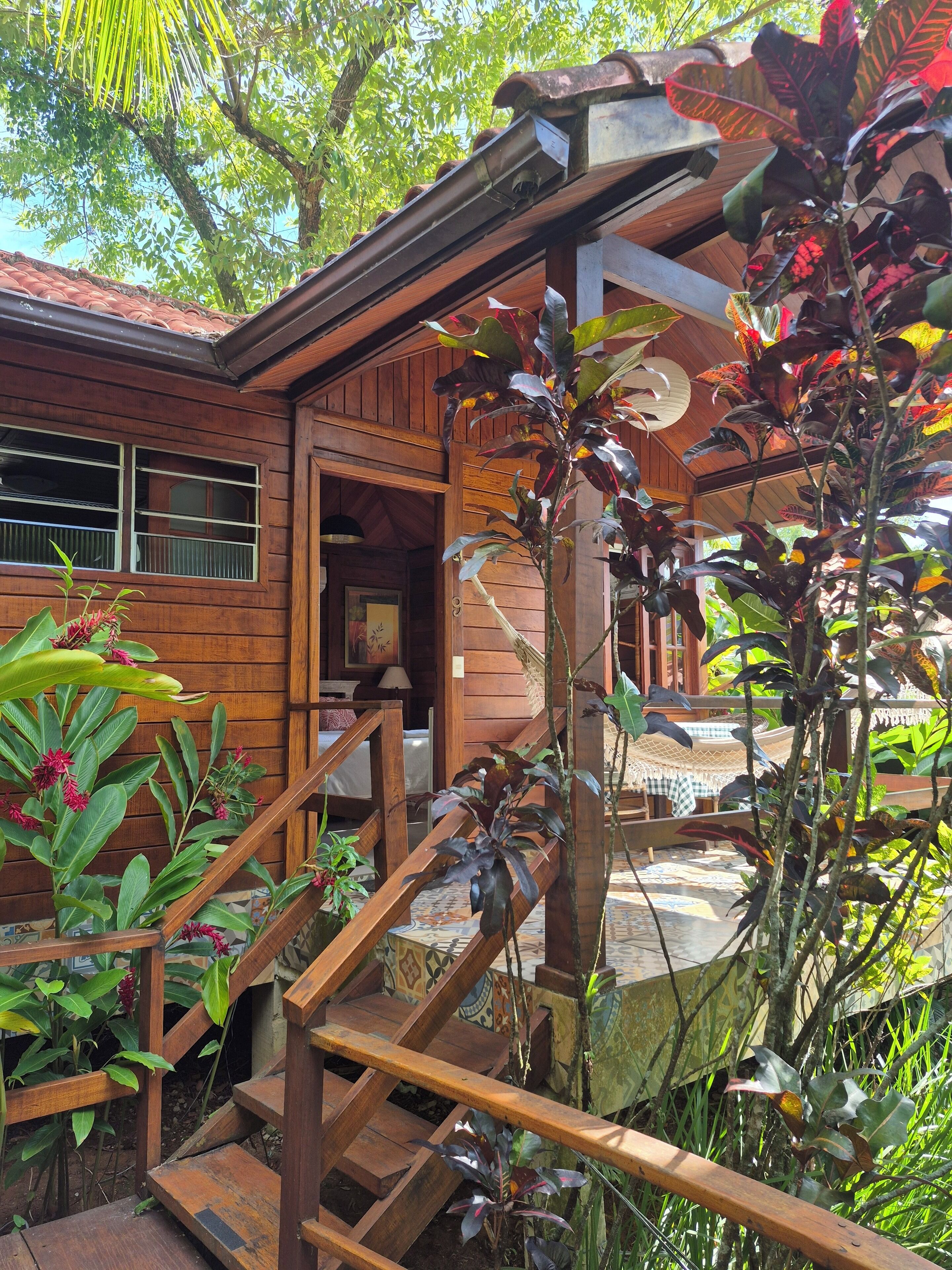 A wooden house with a porch, a staircase, and various plants.