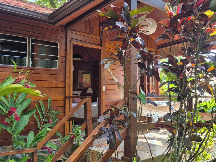 A wooden house with a porch, a staircase, and various plants.