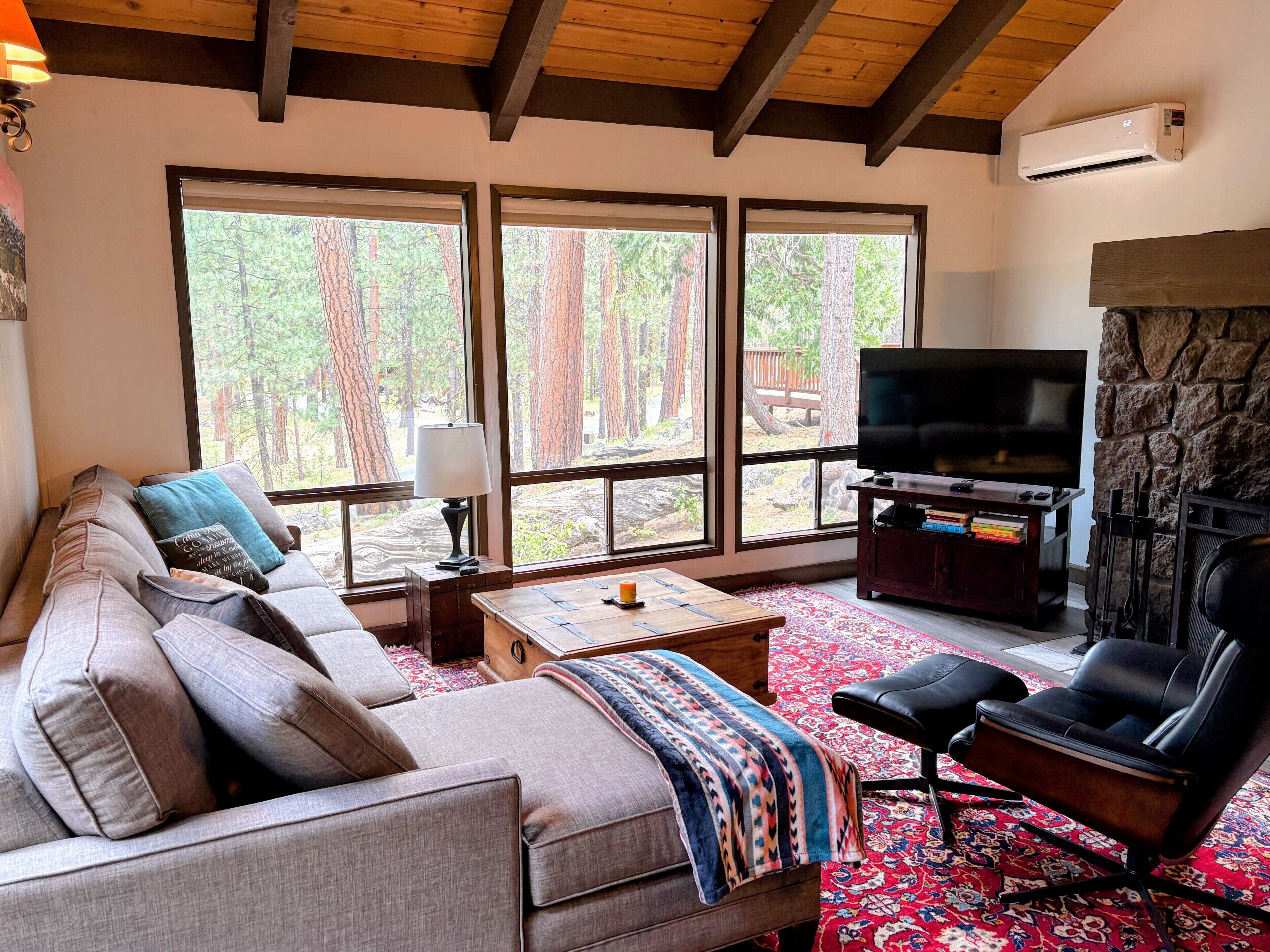 Smart TV, chimenea y reproductor de DVD 