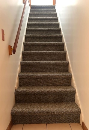 A carpeted staircase with wooden handrails and a light-colored wall.