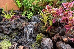A garden with a small waterfall, various plants, and rocks.