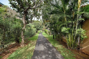 A pathway flanked by lush greenery and trees, leading to a building. - The Ultimate Escape. Relax, Enjoy, Steps to Beach (Kihei)