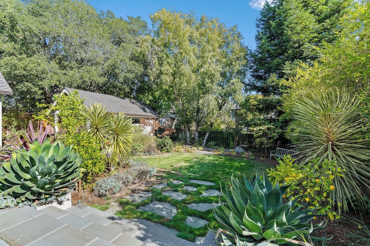 Un jardín con un sendero de piedra, varias plantas y una casa al fondo.