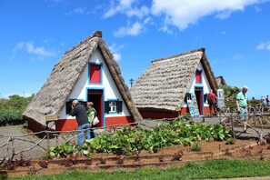 Two thatched-roof cottages with red and white walls and blue trim, surrounded by a garden with various plants.
