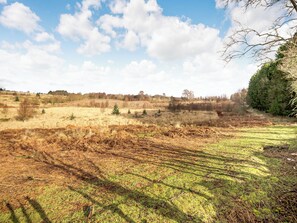Un paisaje natural con un campo, árboles y una colina a lo lejos.