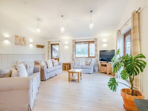 Fernseher, Kamin