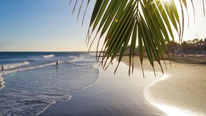 Ein Strand mit Wellen, einer Palme und blauem Himmel.