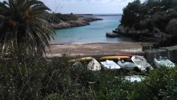 A beach with boats and a palm tree. - Menorcan house 20 m from the sea (Binisafua)