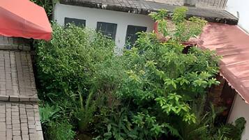 Área da propriedade