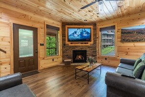 Televisión, chimenea, videojuegos y reproductor de DVD 