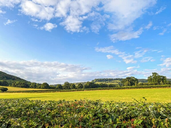A wide, open field with a clear sky and distant hills. - Cuckoo Lodge - UK42541 (Clifford)