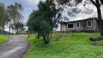 A house with a stone wall, a paved driveway, and a grassy area with trees.