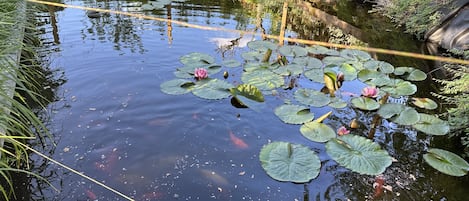 施設の敷地