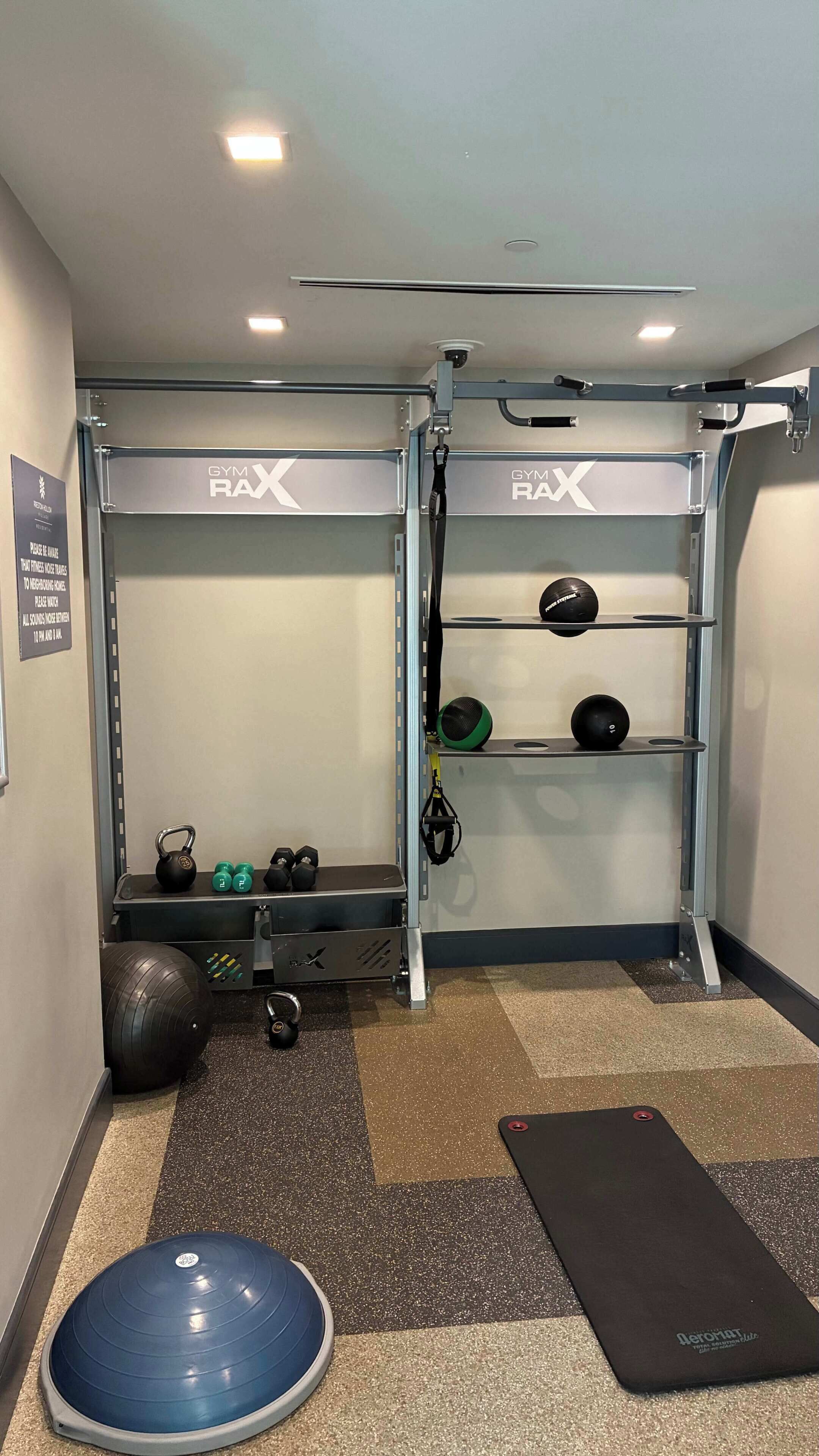 A gym with a pull-up bar, kettlebells, a medicine ball, and a mat.
