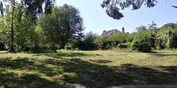 A grassy area with trees and a building in the background.