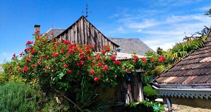 Cozy Charming cottage in the Loir and Loire valleys*** French property