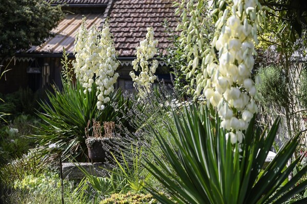 Un jardin avec différentes espèces de plantes et, en arrière-plan, une structure traditionnelle avec un toit recouvert de tuiles.