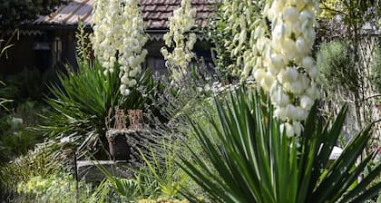 Cozy Charming cottage in the Loir and Loire valleys*** French property