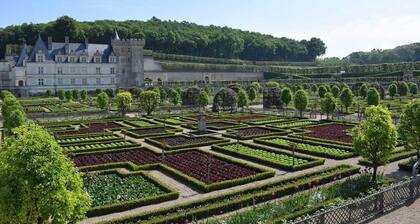 Cozy Charming cottage in the Loir and Loire valleys*** French property