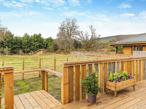 Property grounds - Lime Lodge - UK42547 (Llandrindod Wells)