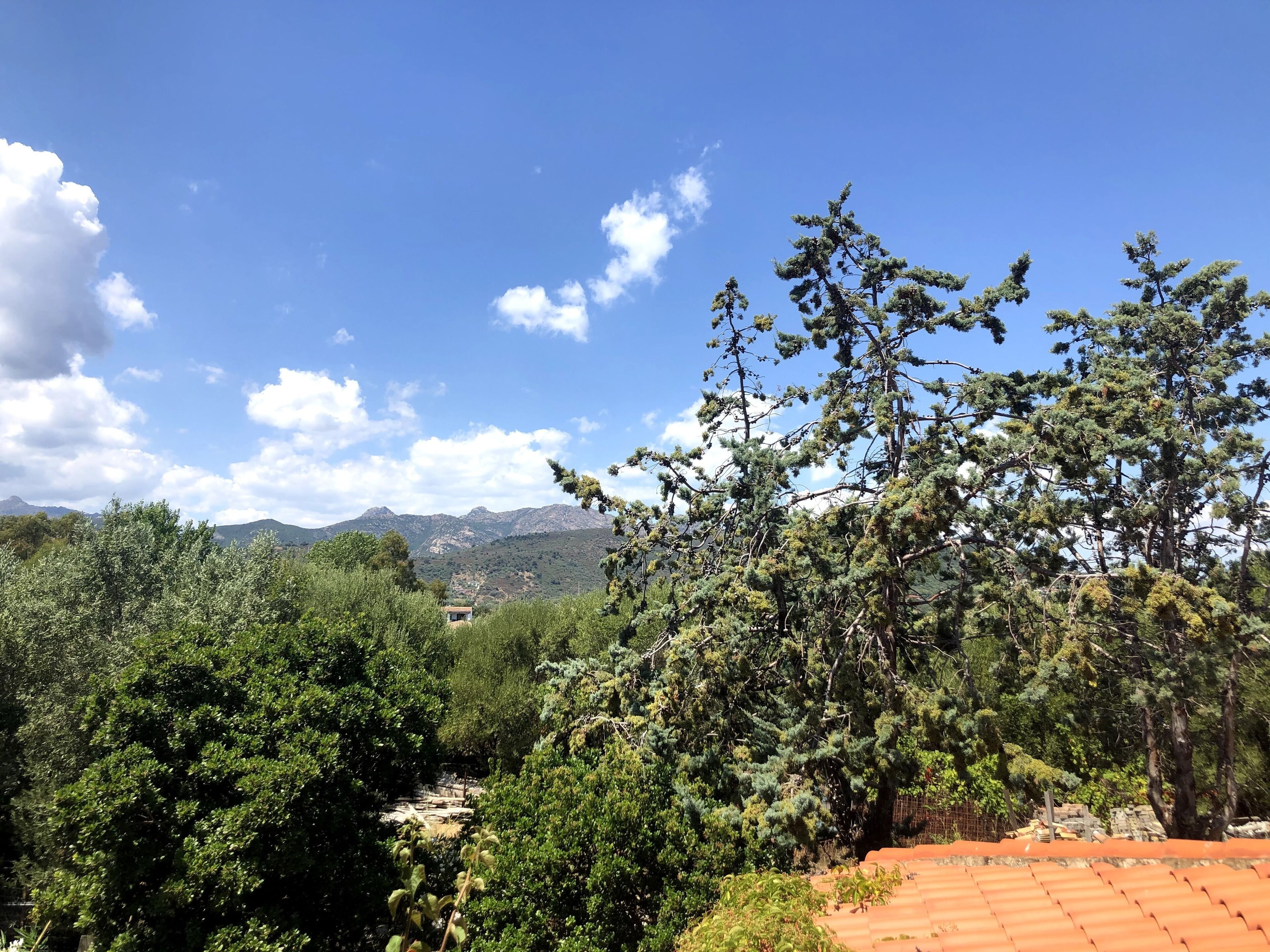 Eine gebirgige Landschaft mit dichtem Grün und blauem Himmel.