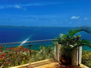 Immagine non classificata, 5 di 61, pulsante