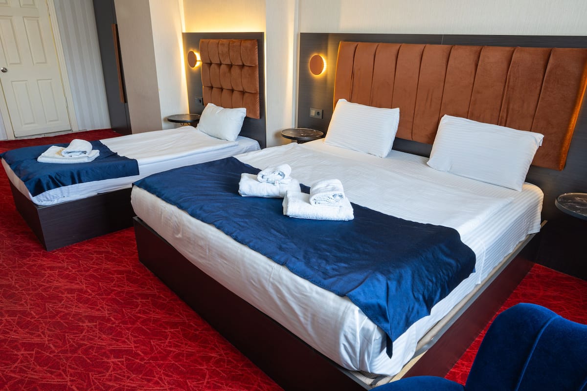 Sábanas de algodón egipcio, ropa de cama de alta calidad y cubrecamas
