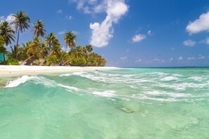 Private beach nearby, white sand, beach umbrellas, beach volleyball - Dhonfulhafi Beach View & Spa  (Maalhos)