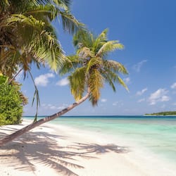 Private beach nearby, white sand, beach umbrellas, beach volleyball