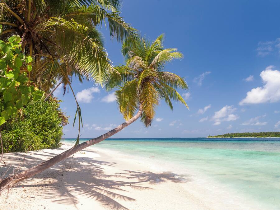 附近的私人海灘、白沙、太陽傘、排球