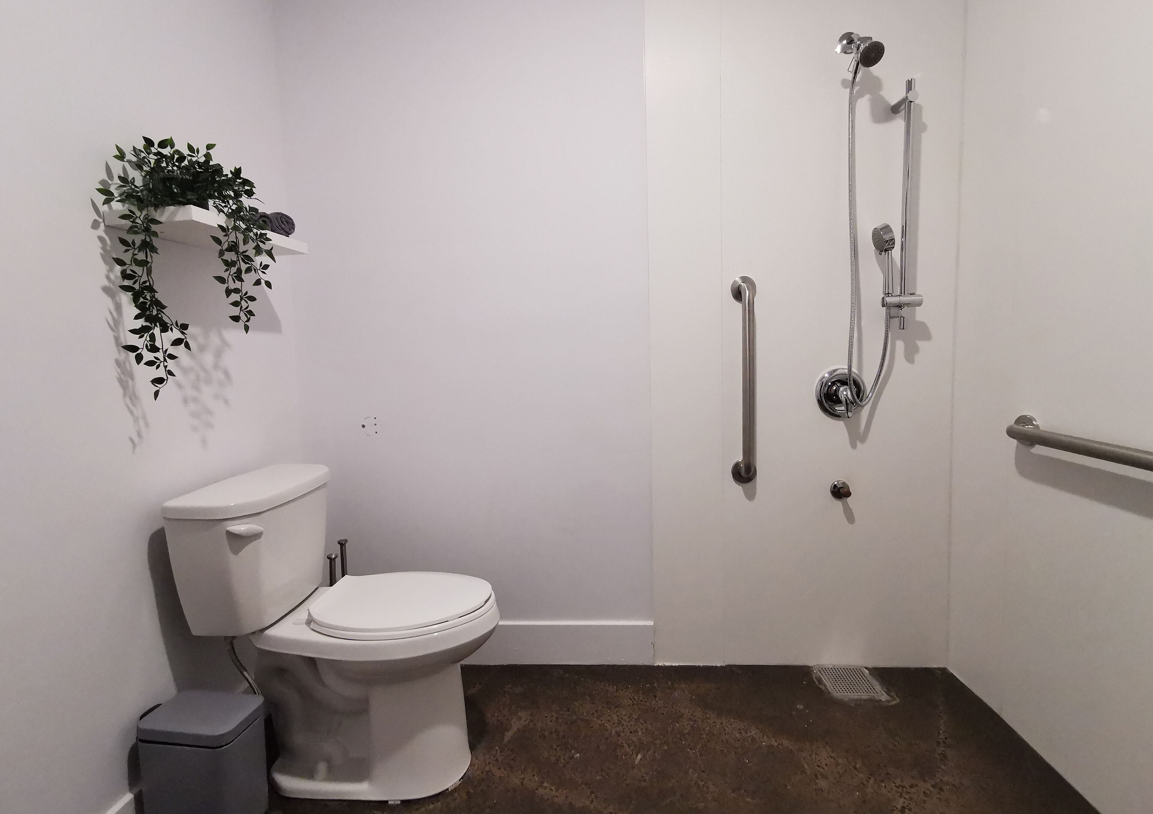 A bathroom with a toilet, a shower with grab bars, and a plant on the wall.