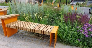 Sit and relax on this bench surrounded by lush greenery.