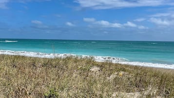 Sun loungers, beach towels