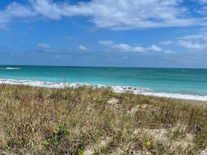 Camastros y toallas de playa
