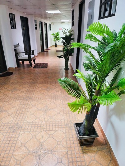 Residencial Lassonde Guest House, David