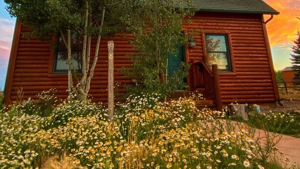Une cabane rustique en rondins de bois, dotée d’une cheminée imposante, entourée d’un champ de marguerites.