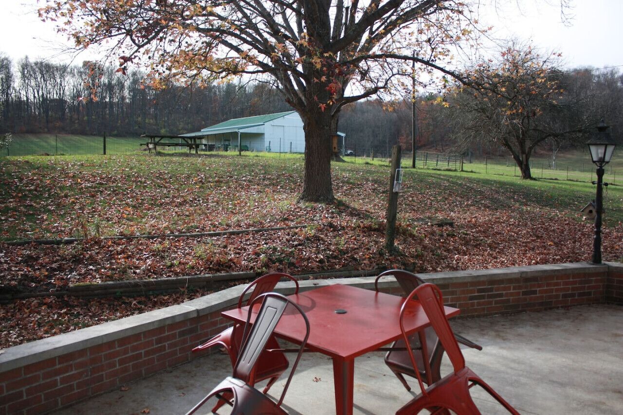A patio with a red table and chairs, a tree, and a building in the background.