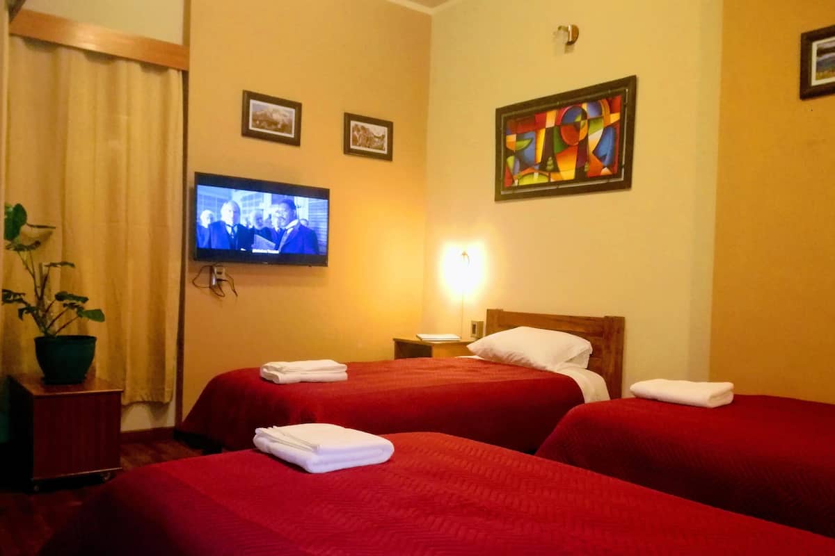 Habitación de hotel con dos camas, un televisor en la pared, un cuadro y una planta en maceta.