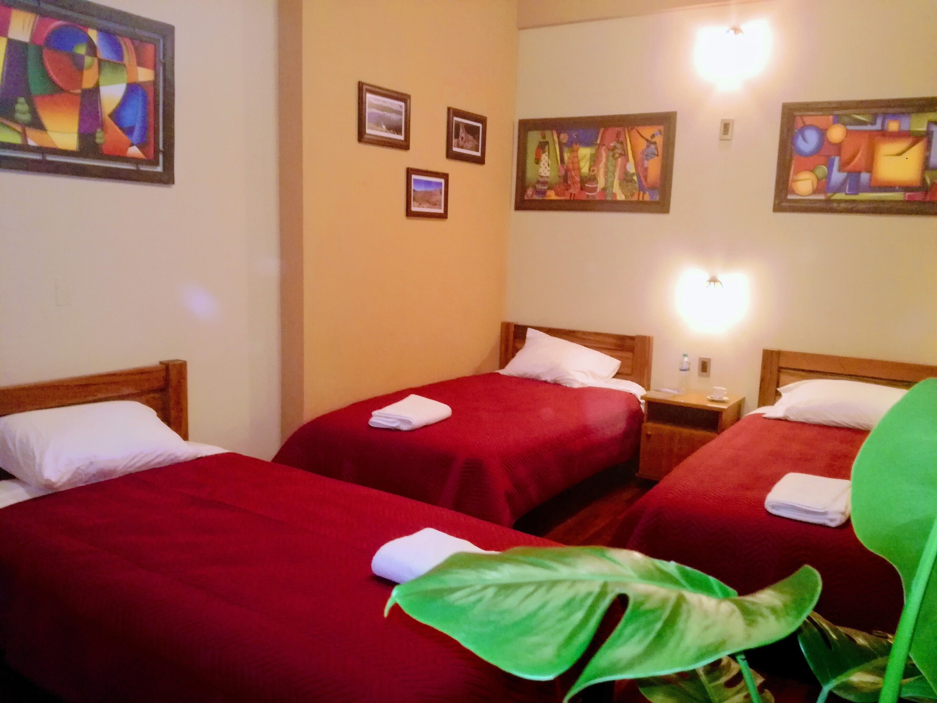 A hotel room with two beds, each with a red bedspread and white pillows, and a large green plant in the foreground.