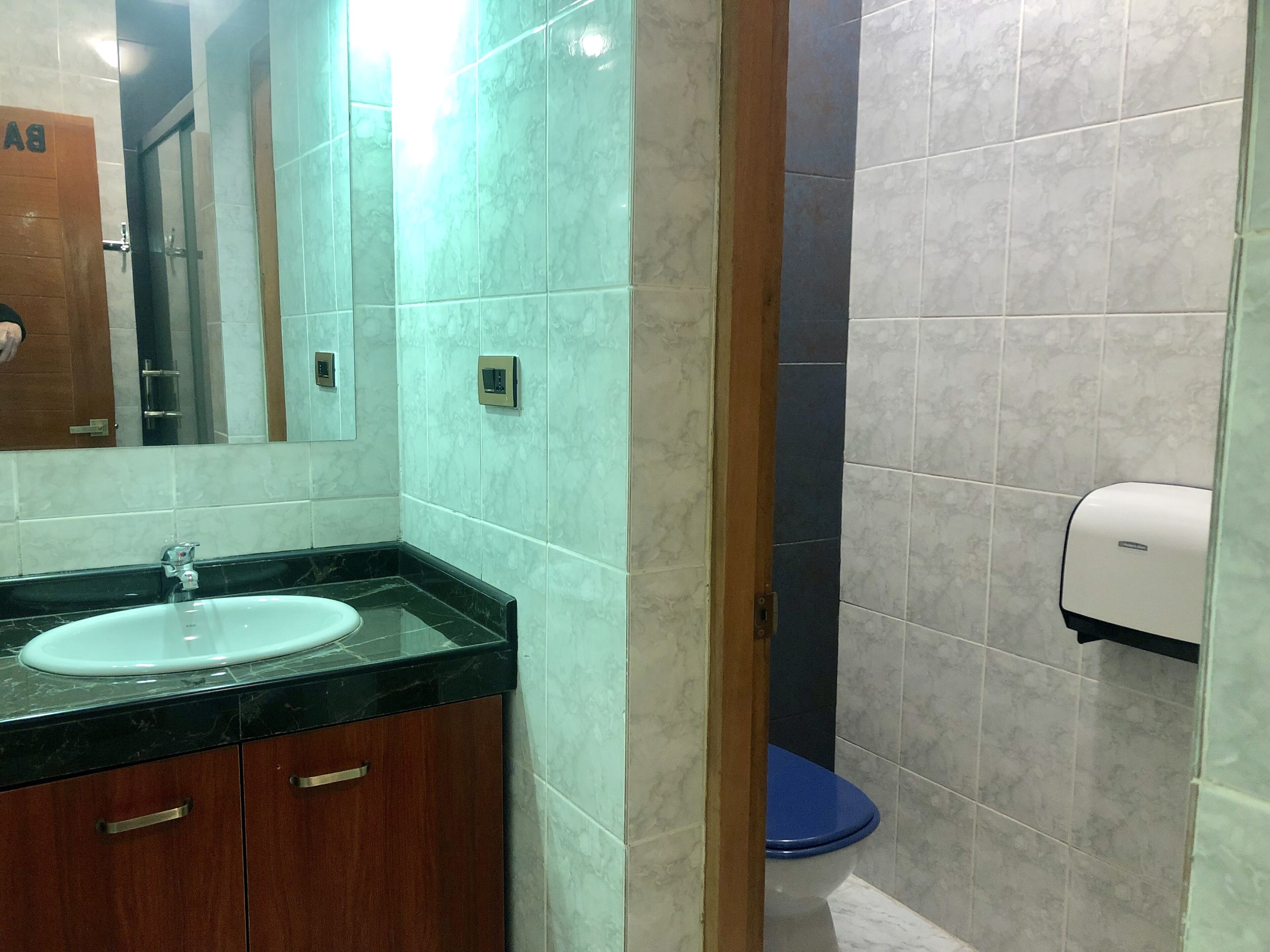 Un baño con lavabo, espejo e inodoro.