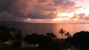 Una puesta de sol sobre un mar tranquilo con palmeras al frente.