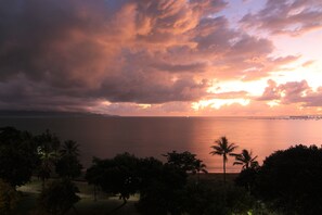 Property grounds - Beautiful Beachfront location. (North Ward)