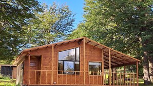 Une cabane en bois dotée de grandes fenêtres et d’un porche abrité, entourée d’arbres.