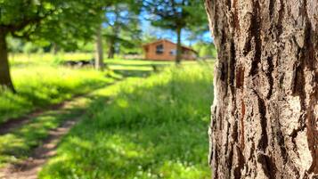 A tree trunk with rough bark texture.