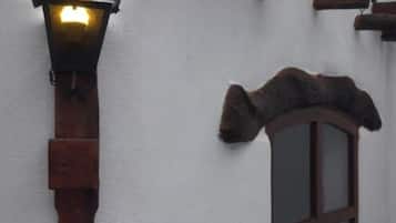 Detalle exterior